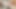 Asian Beauty and Model Shaved Uncensored