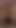 Key moment from "Homemade porn with big ass married afghan milf"