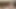 一緒に楽しもう