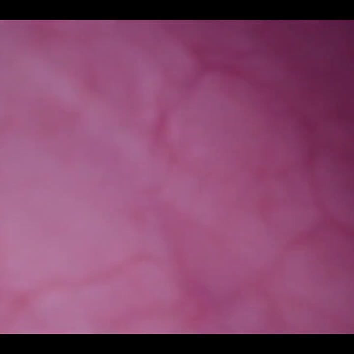 Jebana u moju pičku, kamera u mjehuru, luda izbočina!