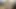 Slender Trans Teen Alice Tapajos Strokes Her Big Cock