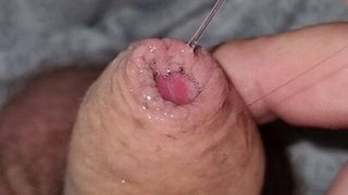 Chubby sissy tiny dick Cumming for you