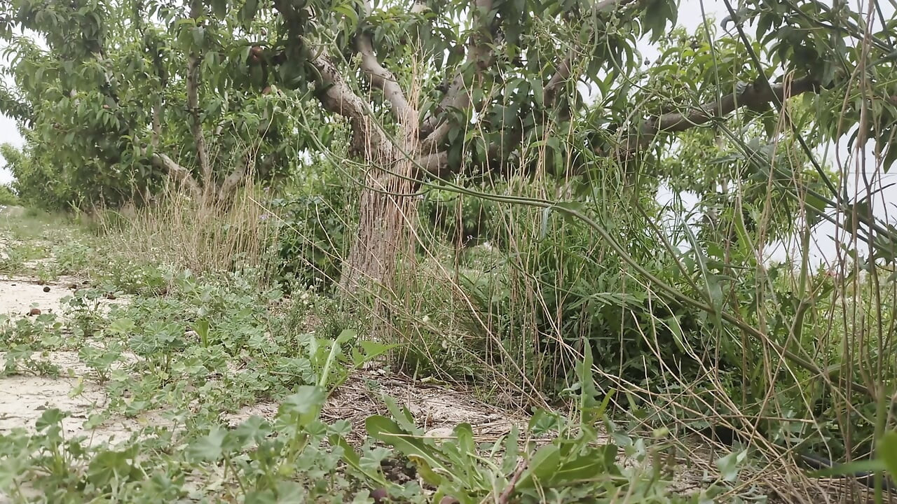 Pišanje kompilacija