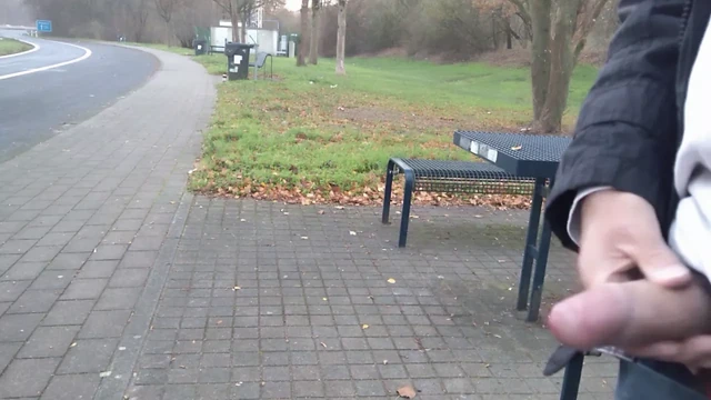 German daddy wanking outdoor