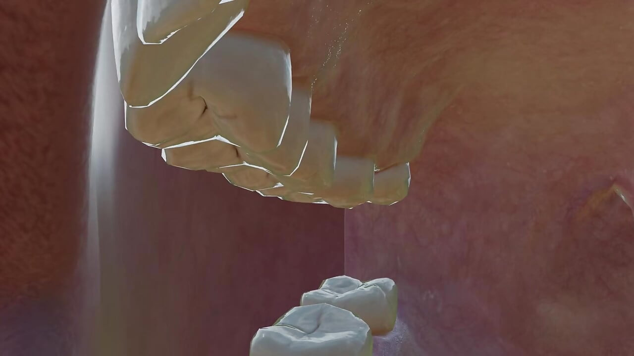 giantess