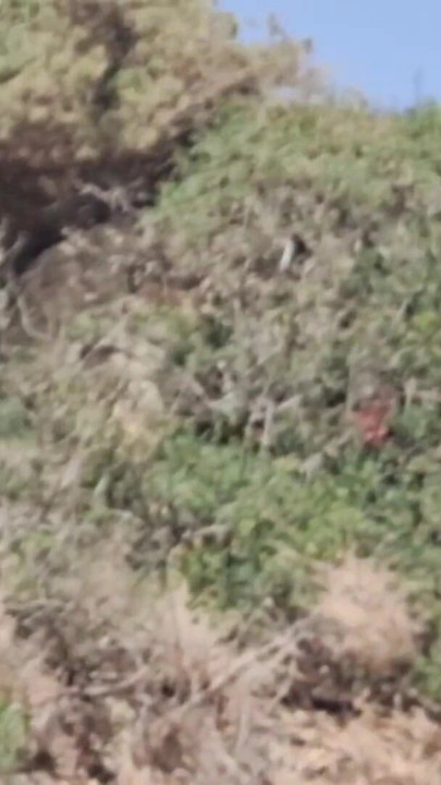 RISKY PUBLIC BEACH: I Strip Naked, Stroke My Cock in Multiple Spots, Walk Fully Nude & Cum Hard Outside. Almost Got Caught | Clip 1