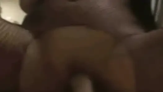 Brandon's Wild Pussy Paradise