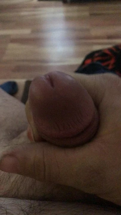 My dick for you to see