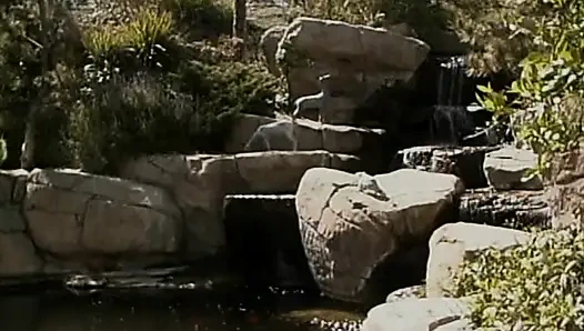 Pelacur pirang platinum berbagi mainan seks strapon di tepi kolam renang