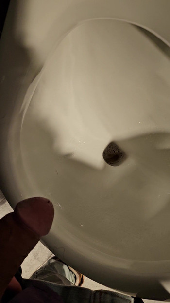 Pissing on public hotel toilet