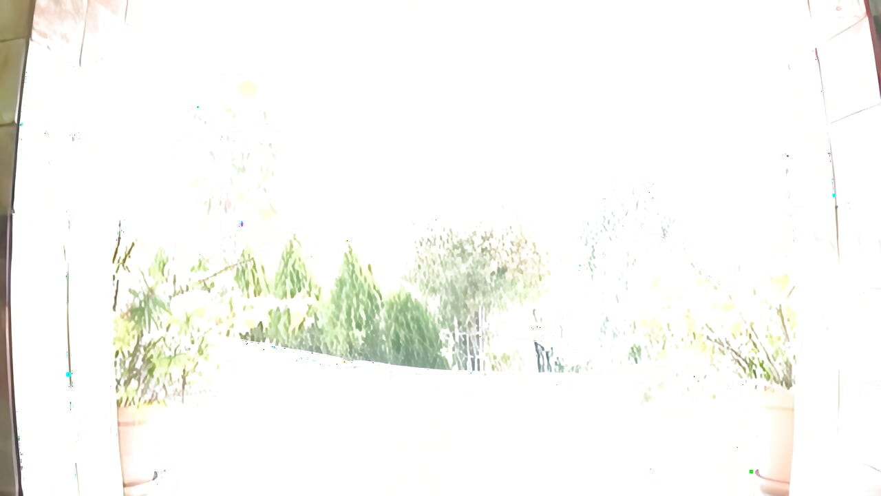 妓女桑德拉嬉戏