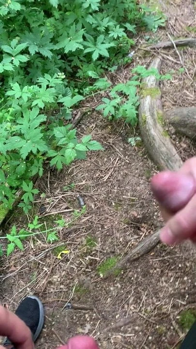 Trag drkanja i sperma