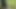 Neighbor sucks my dick in a public park and swallows hot cum