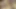 Aldatılan koca karısı Ophelia Kaan'a büyük bir yarak sürprizi yapıyor