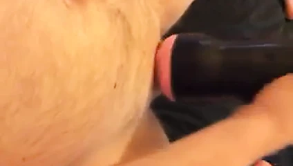 Yaşayan t.hefleshlight rüyası