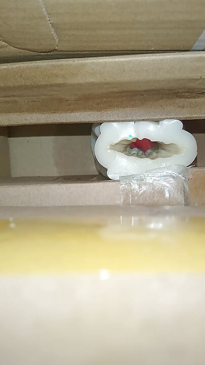 Cum inside homemade silicone pussy 3