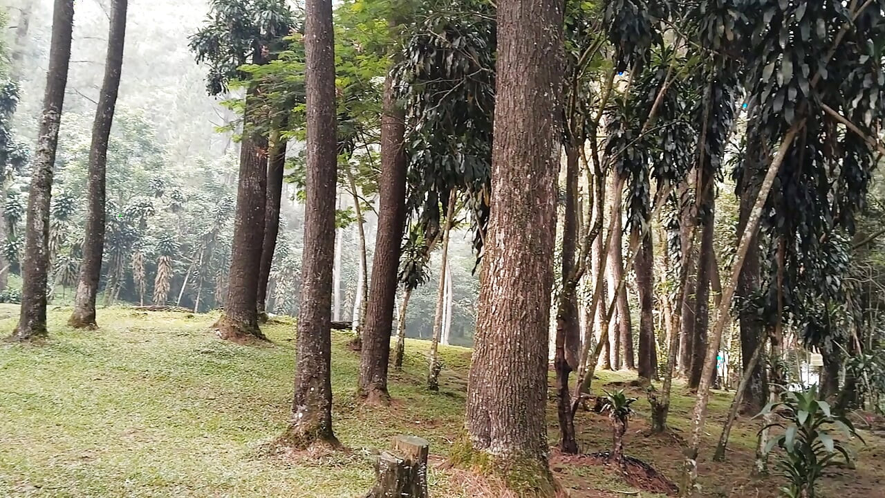 Walking to natural tourist attractions peeing in public toilets