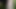 Wanking with a thistle in the forest