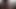 オーガズム、クンニリングス 4K