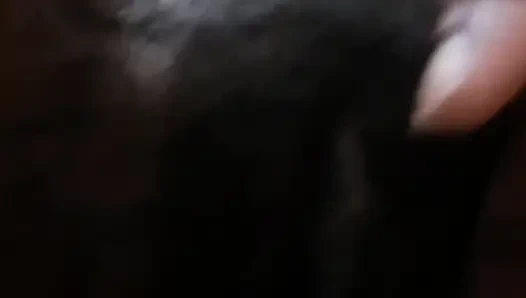 Gosok memek dan toket