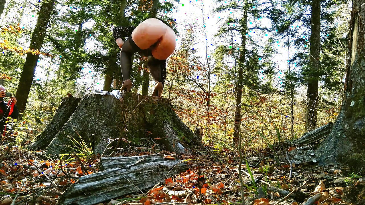 Ma Belle-mère Au Milieu Des Bois