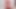 Blowjob From a Cute Girl