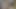 コロンビアのククタでルームメイトと一緒に座っている勃起したペニス