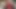 POV Blowjob from Sexy TGirl Pauline