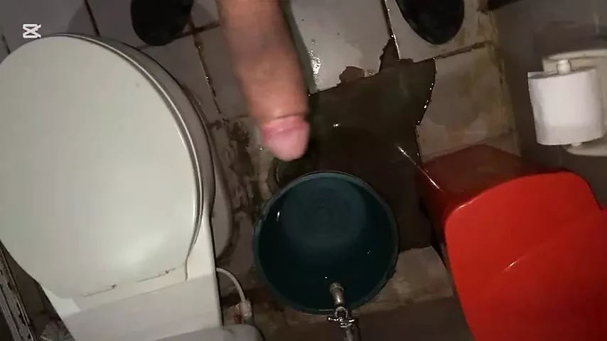 Eu vou ao banheiro e começo a me masturbar depois de urinar - Jovenpoder - Banheiro