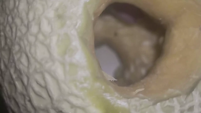 Melon fuck