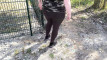 Pratonton Video