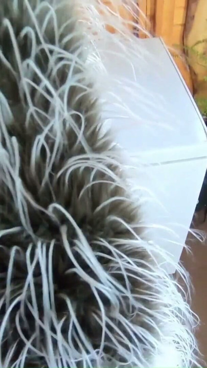 Fur Coat and Leather Cameltoe with Deepthroat, Doggy and Double Cum on Clothes | Clip 2