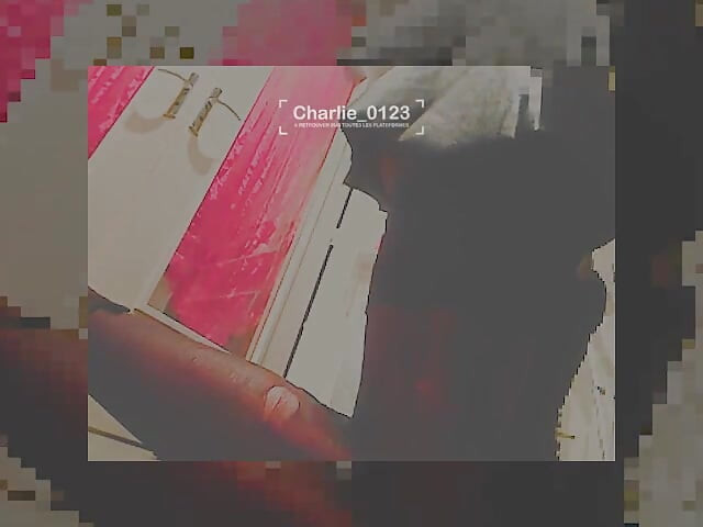 Seen From Elsewhere the Other Look