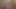 靴下をきれいに吸ってくれ