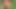 Redhead teen gives an blowjob and gets fucked in her little ass