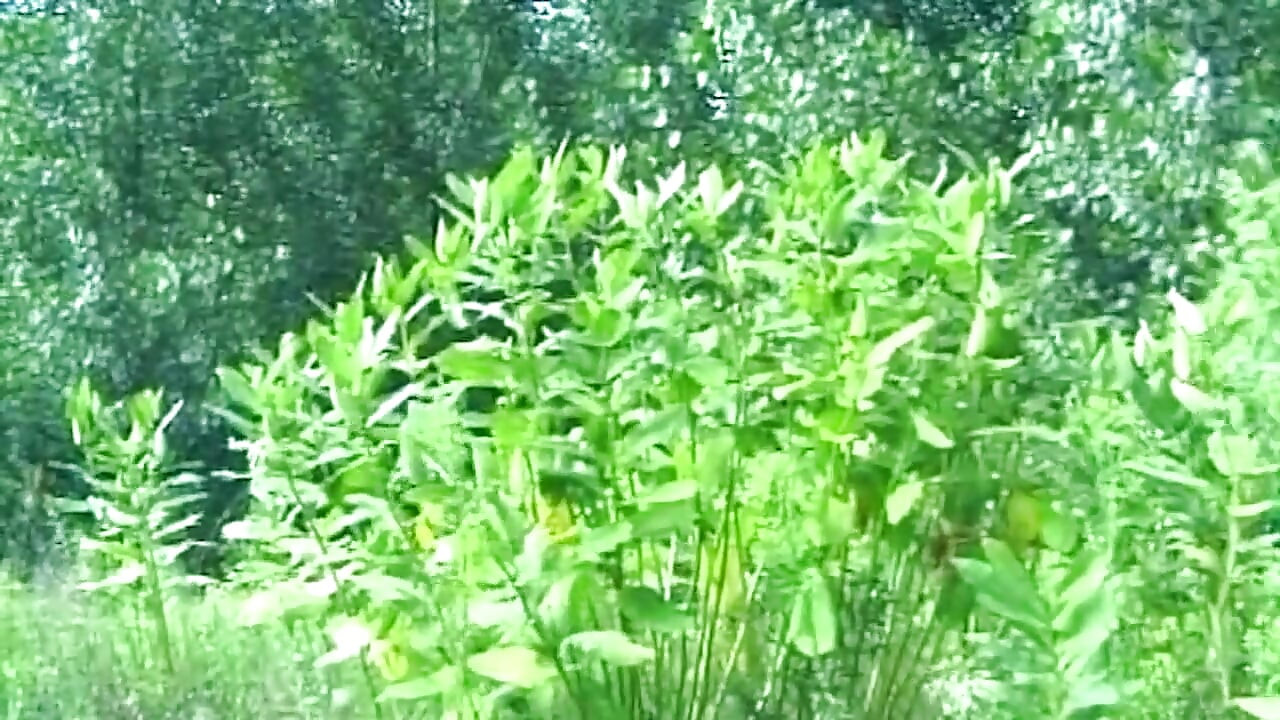 Rubia amateur follada duro al aire libre en hierba