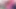 Wild Hearts: Chilean Guy and Colombian Pink-Haired Girl’s Electric Night