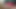 新しいビデオバングラデシュ。Com.Xxx
