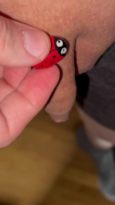 Captivating moment from "Play with my little cock and everyday objects"