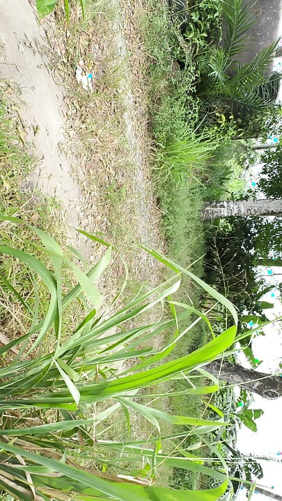 Colombian Peasant Woman Masturbates Outside Her House for the Neighbors to Watch Her