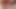 POV Blowjob "Wixx in my face"