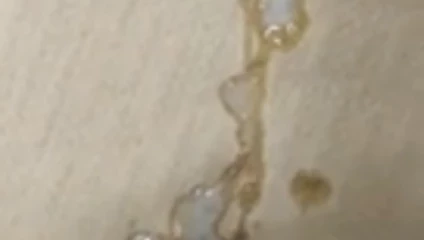 Boşalma