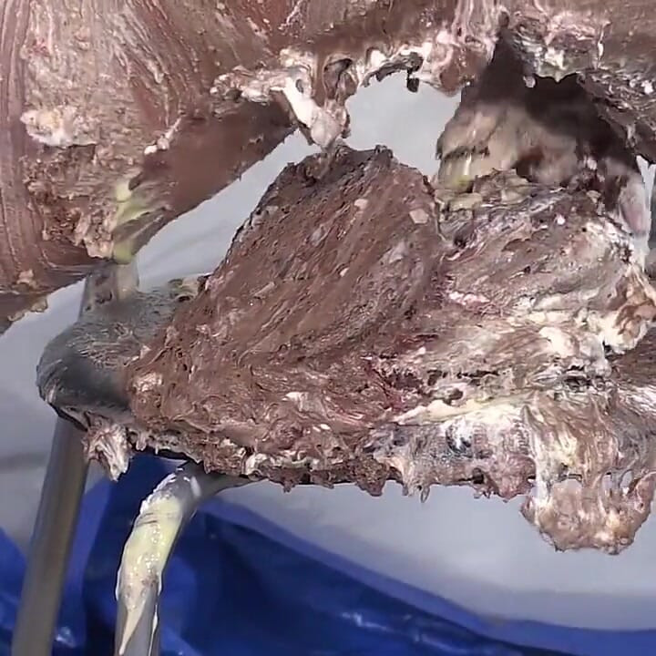Faye Rampton messed in Cake