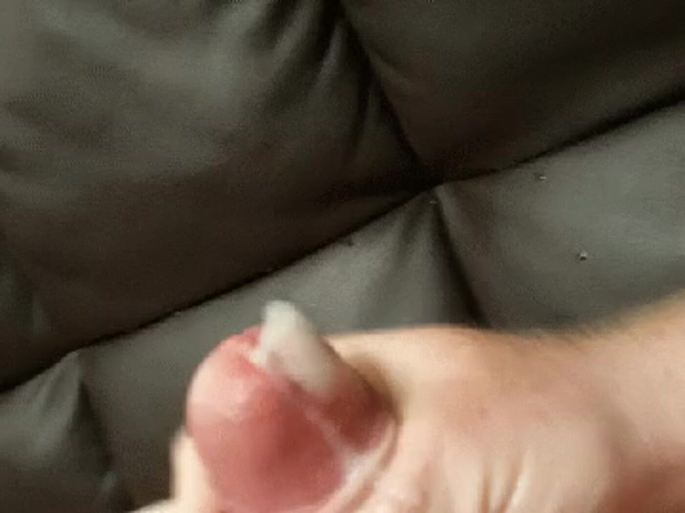 Bear Cock Cumming