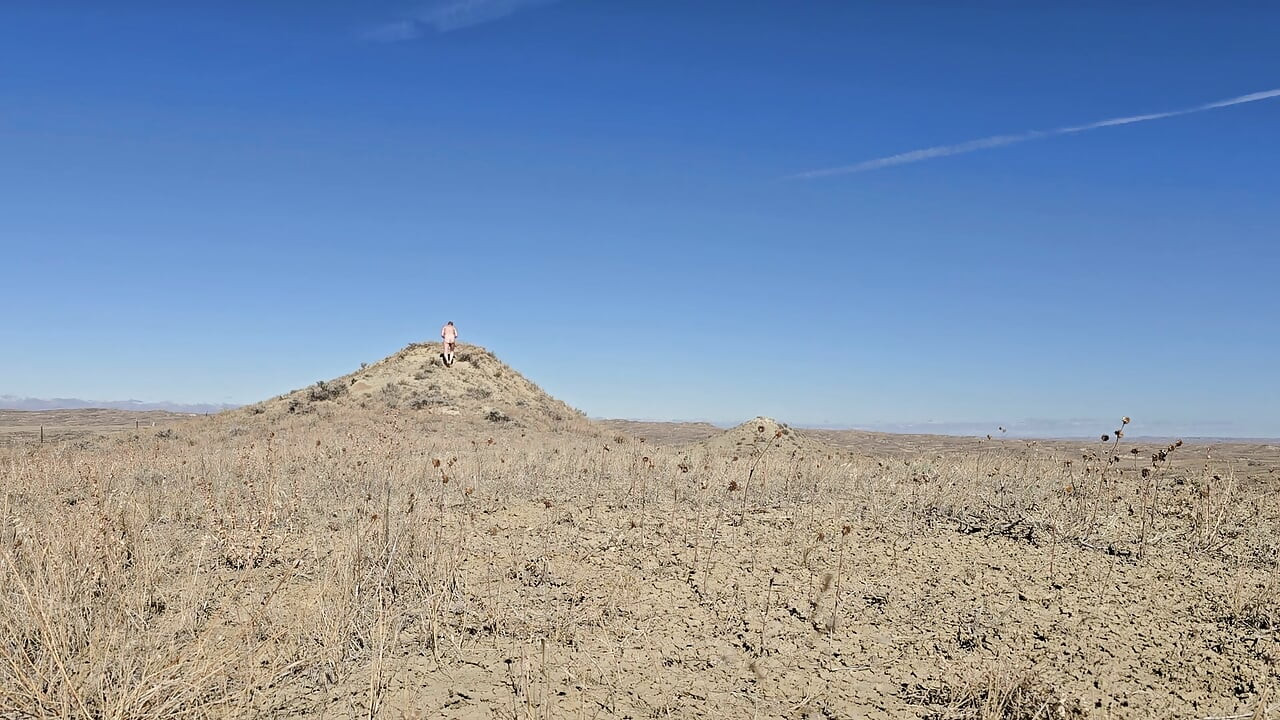 Out in the Desert