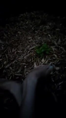 Her feet in the garden