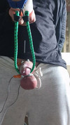 Pregled videozapisa