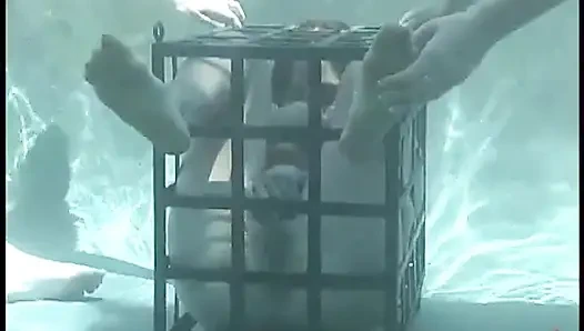 Venüs ve Audrey Leigh