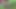 キャンプ場でのいたずらなおしっこ