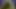 My Cum